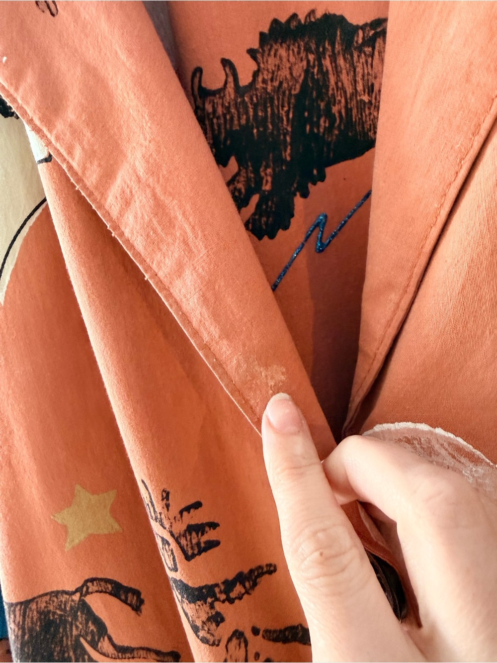 Western Print Button-Up - Picture 9 of 9